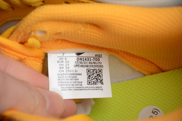 SB Dunk Low DN1431-700