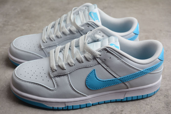SB Dunk Low White Blue DV0833-100