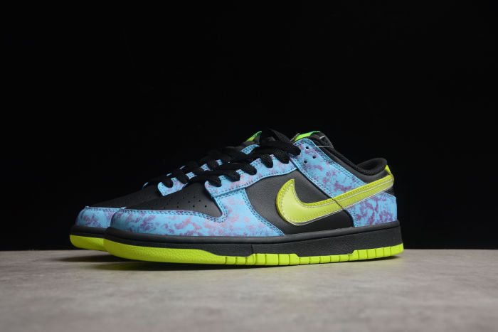 SB Dunk Low RETRO DV1694-900