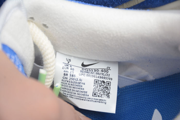 SB Dunk Low DQ5130-400