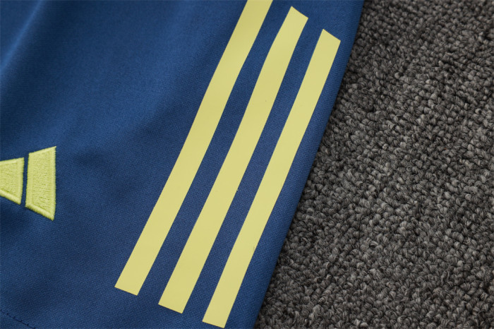 Ajax Training Jersey 24/25