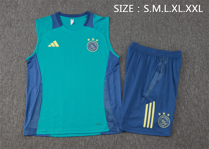 Ajax Training Jersey 24/25