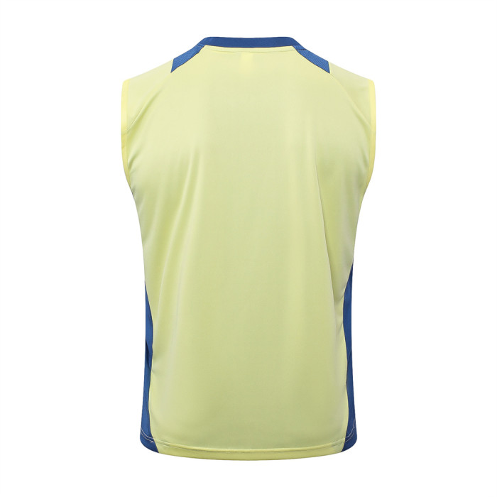 Ajax Training Jersey 24/25