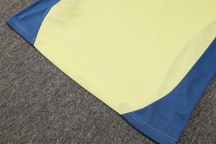 Ajax Training Jersey 24/25