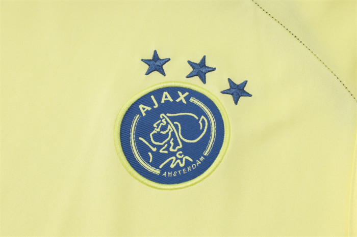 Ajax Training Jersey 24/25