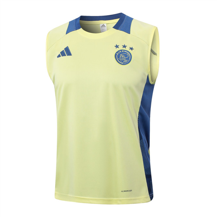Ajax Training Jersey 24/25