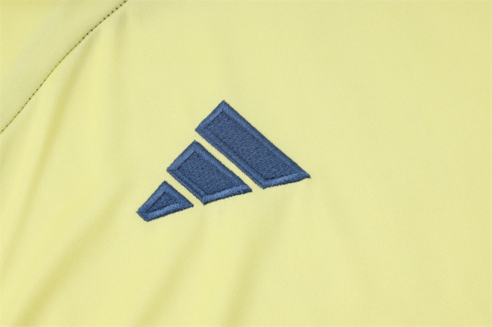 Ajax Training Jersey 24/25