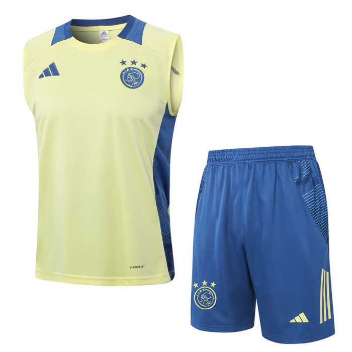 Ajax Training Jersey 24/25