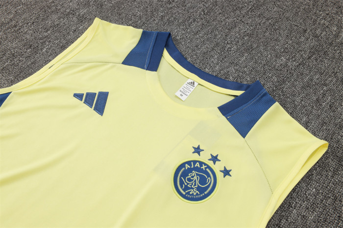 Ajax Training Jersey 24/25