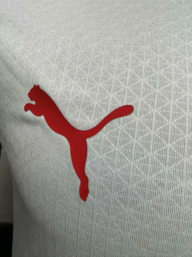 Morocco Away Player Jersey 24/25