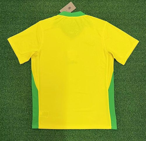 Brazil Women's Team 2025 Copa America Home Man Jersey