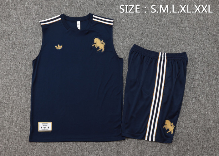 Juventus Training Jersey 25/26