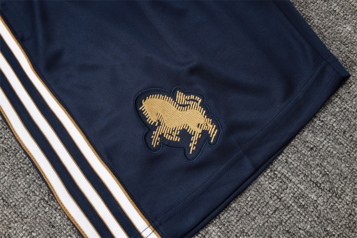 Juventus Training Jersey 25/26