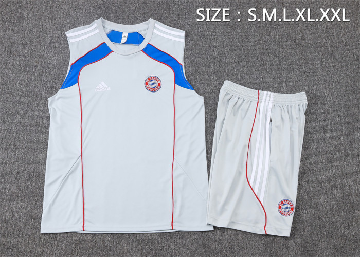 Bayern Munich Training Jersey 25/26