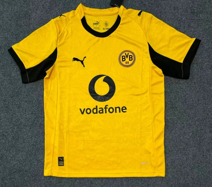 Borussia Dortmund Cup Man Jersey 25/26