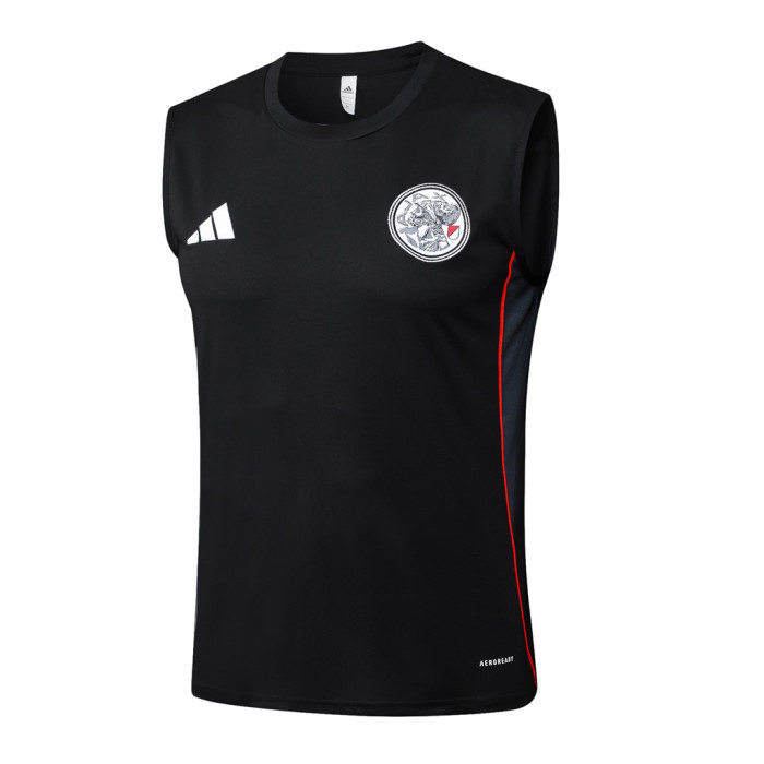 Ajax Training Jersey 25/26