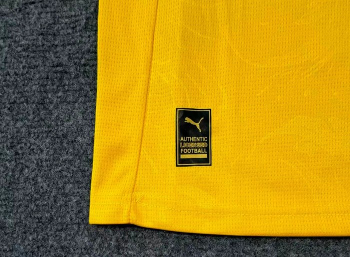 Borussia Dortmund Cup Man Jersey 25/26