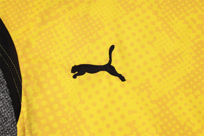 Borussia Dortmund Training Jersey 25/26