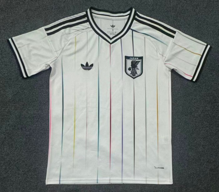 Japan 2026 World Cup Away Men Jersey