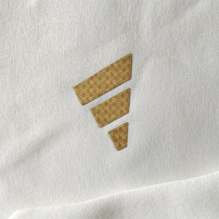 Argentina Hoodie Training Jersey 25/26 (Multiple colors)