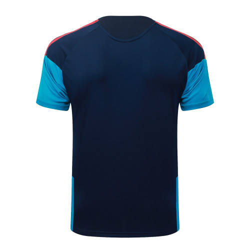 Spain Training Short sleeve Jersey 24/25