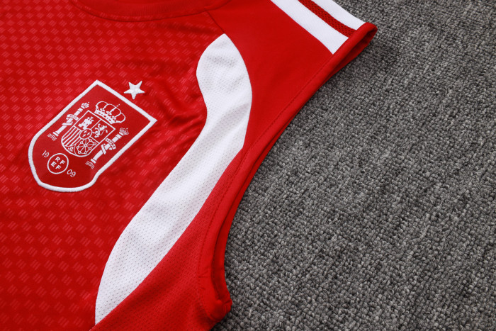 Spain Training Jersey 26/27