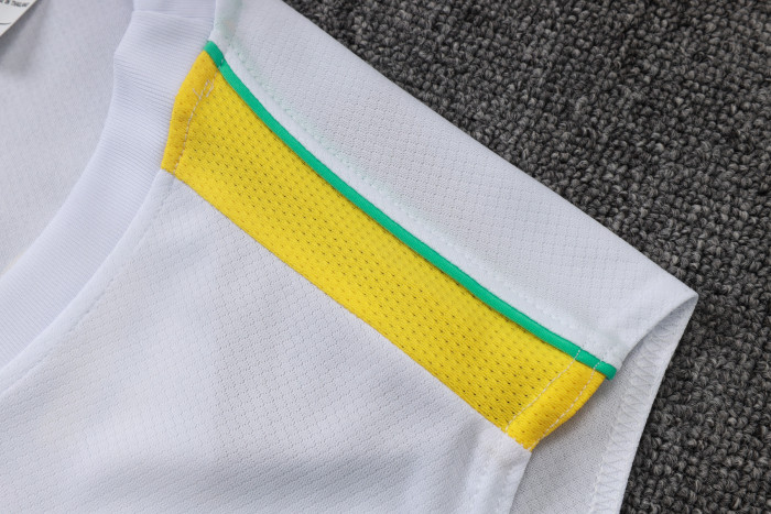 Brazil Training Jersey 26/27