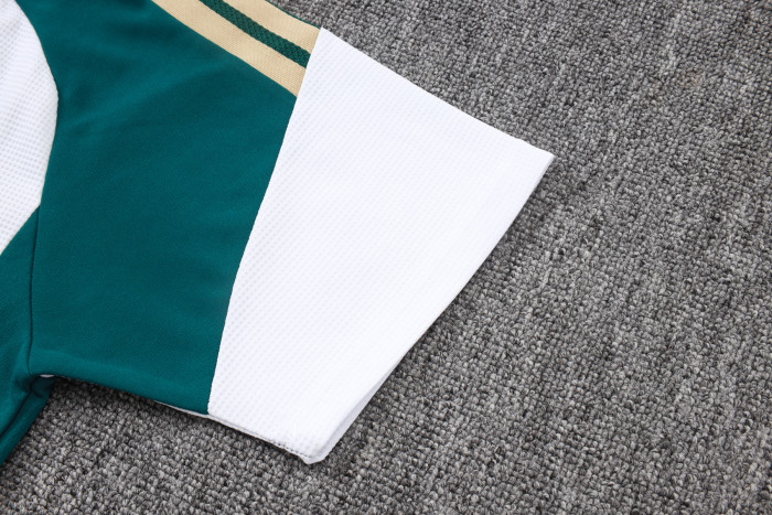 Italy POLO Jersey 26/27