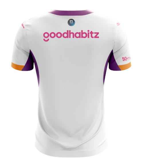 PSV Eindhoven Away Men Jersey 26/27