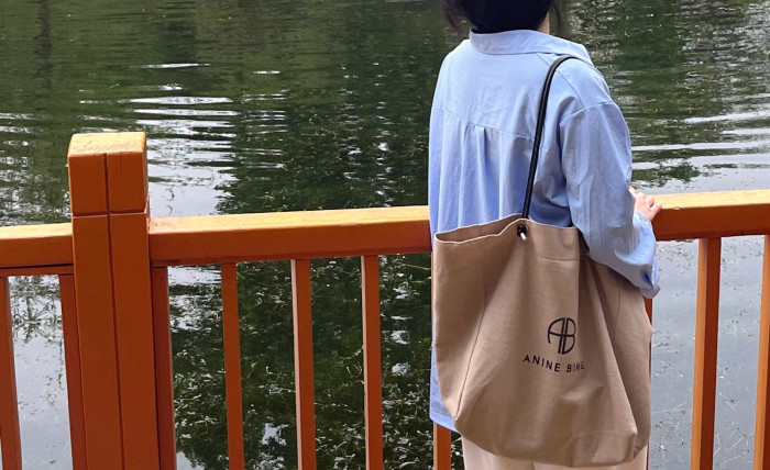Canvas linen TOTE bag ,budget , size 57x39cm or 48x34cm ,no box,  B20-254-255