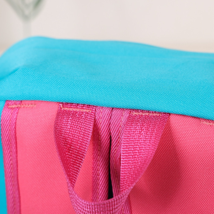 Nylon backpack school bag ,  no box, size 43x30x13cm , B20-262
