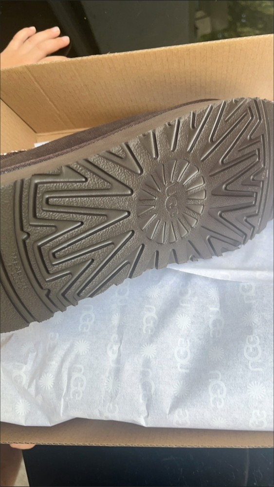 Men and Women Tazz  shoes, size 35-44, SS70-1842