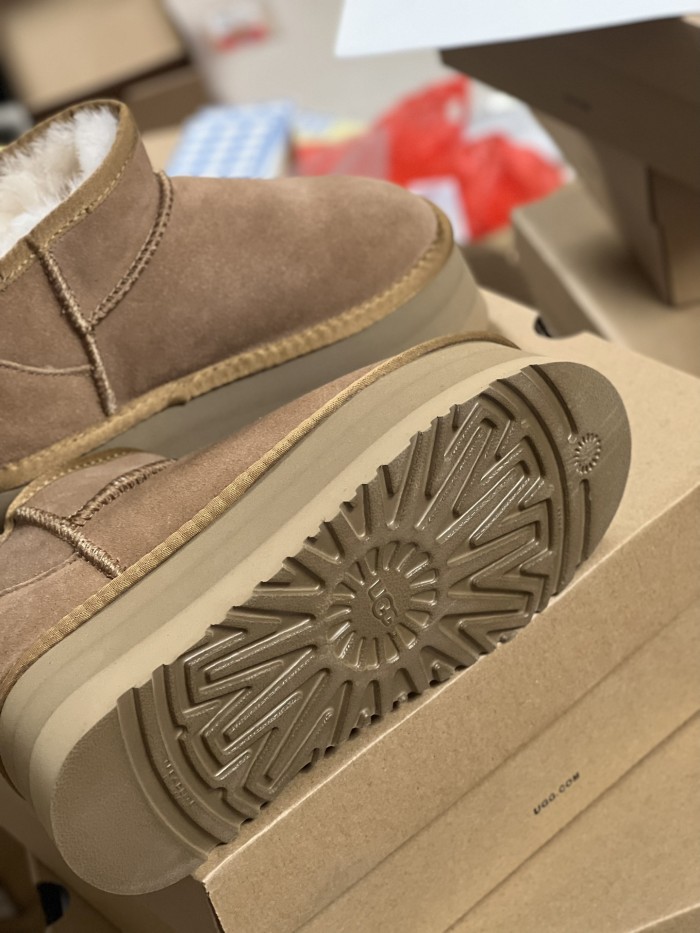 Men and Women Tazz  shoes, size 35-44, SS70-70