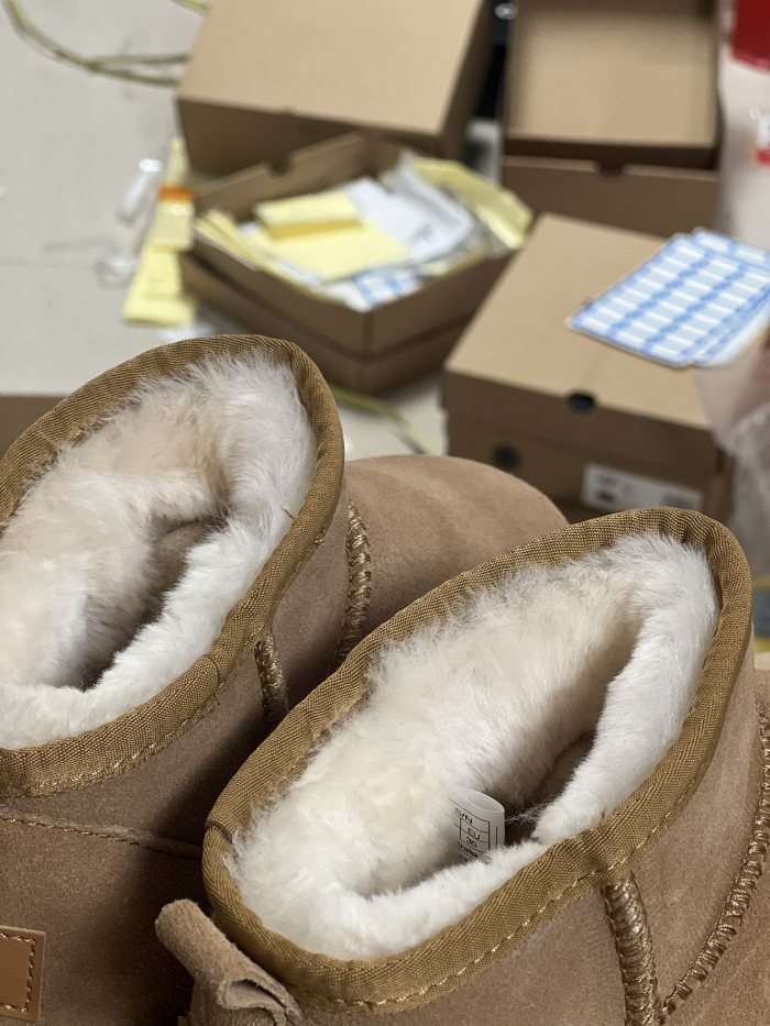 Men and Women Tazz  shoes, size 35-44, SS70-70