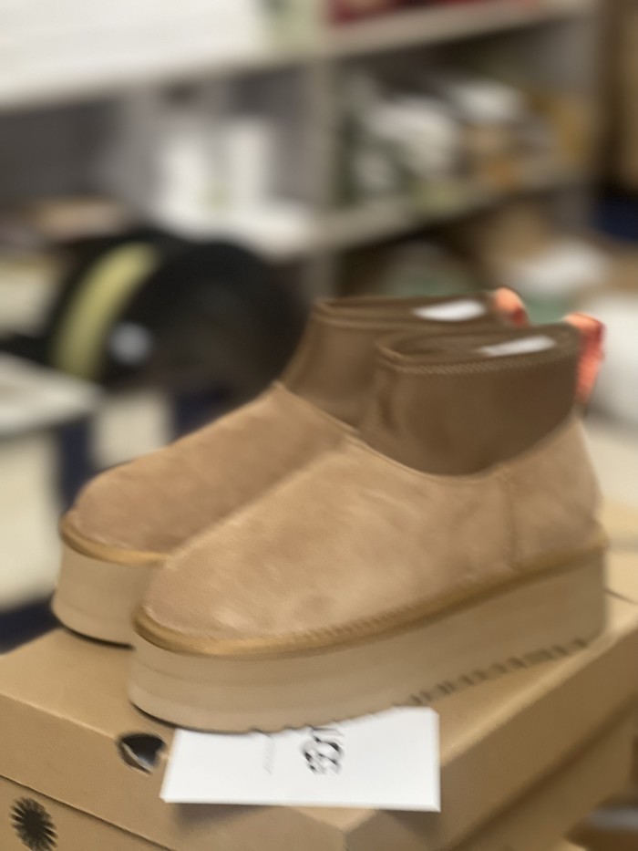 Men and Women Tazz  shoes, size 35-44, SS70-69