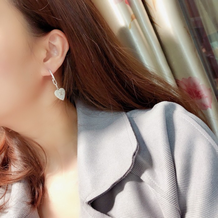 Earring  jewelry ,with box,  J25-119