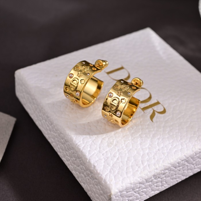 Earring  jewelry ,with box,  J25-145