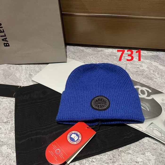 Fashion hat for women men ,no box. HX25-722-731