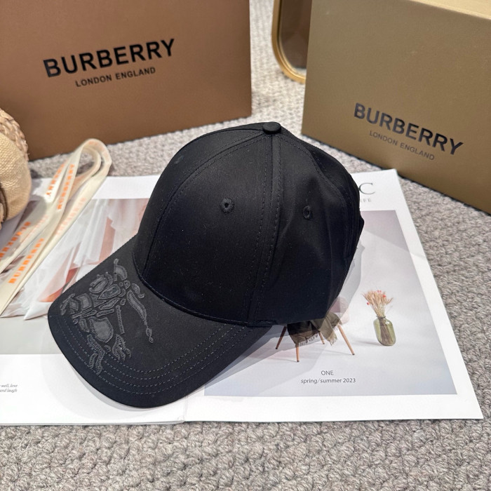 Fashion hat for women men ,no box. HX25-699