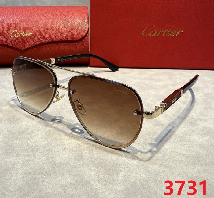 Blue light blocking sunglasses with the box and case ,G25-3728-3733