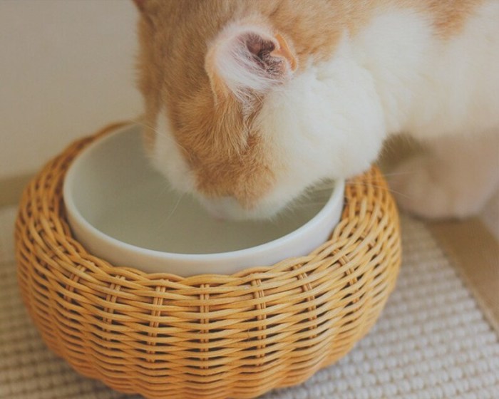 Newly designed ceramic pet bowl - cat bowl - pet feeding - drinking bowl for dog and cat pet supplies