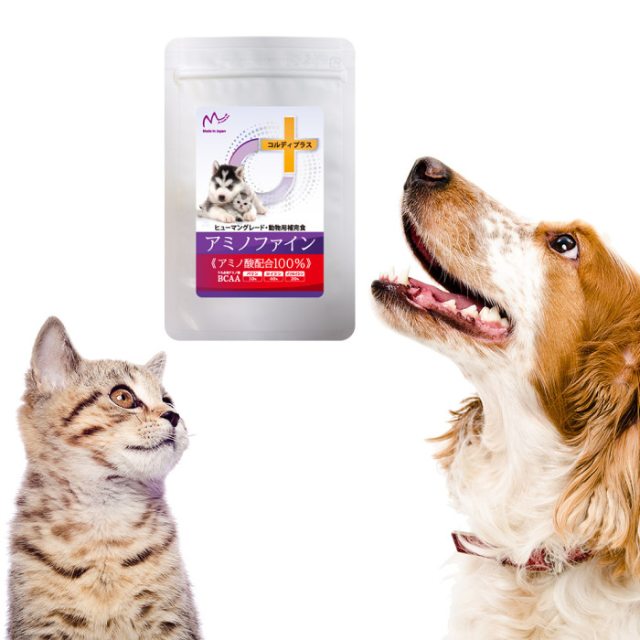 Customizable Nutritional Vitamin Powders for Dogs Cats Goats-Reliable Pet Health Care & Supplements From Supplies