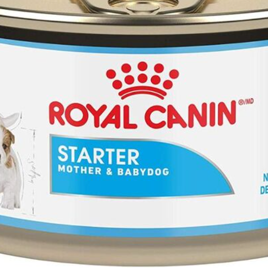 High-quality Royal dog and cat food 20kg bags, high-quality pet snacks at economical prices, wholesale and distributor for pets
