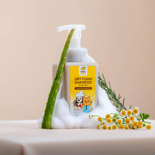Pet grooming foam, natural dry foam shampoo, best-selling organic pet products for cats and dogs in Thailand