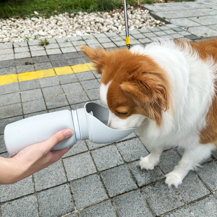 Wholesale portable 550ml pet dog water dispensers, outdoor travel foldable dog water bottles, camping pet supplies