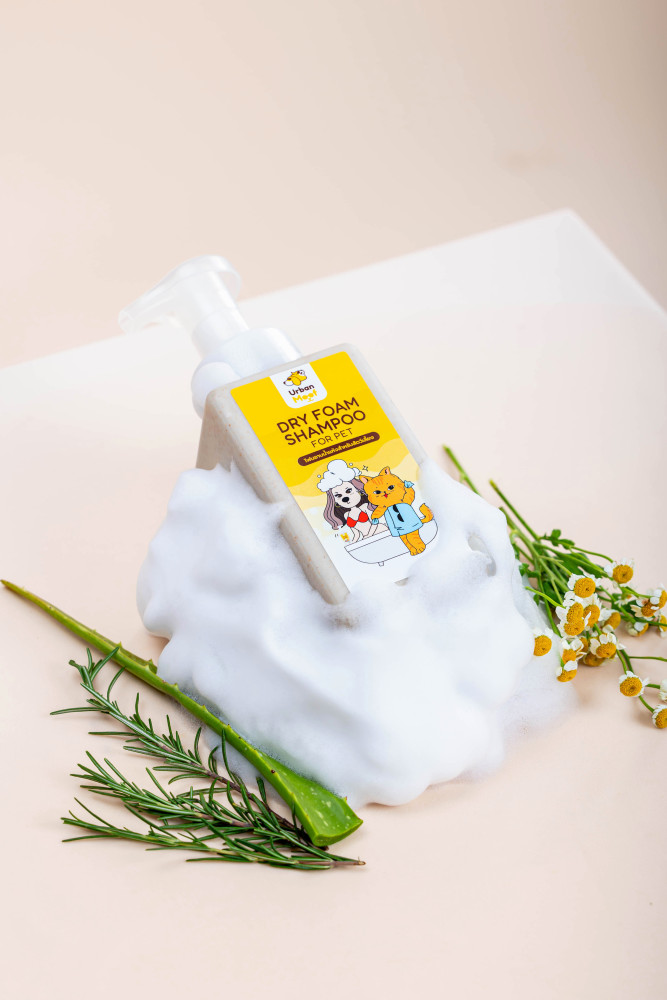Pet grooming foam, natural dry foam shampoo, best-selling organic pet products for cats and dogs in Thailand