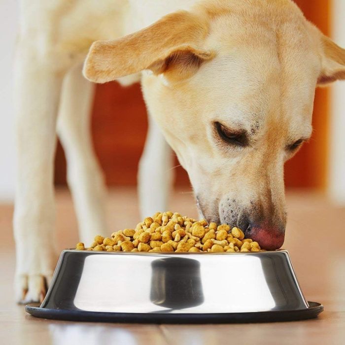 Bulk order delivery of pet bowls, feeders, cat feeders, adjustable pet supplies, anti-slip stainless steel dog food, water bowls