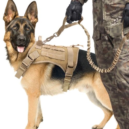 Pet dogs, cats, car seat belts, dog accessories, adjustable wiring harnesses, lead belts, small and medium-sized travel clips, puppy collars, belts, pet supplies