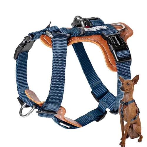 Quality guaranteed pet supply products: Outdoor nylon pet dog harnesses in Taiwan in various colors