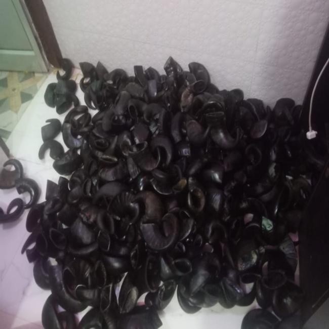 High-quality water buffalo horn processed dry dog food, grain-free, high-protein, small cat, dog and fish snacks and supplies
